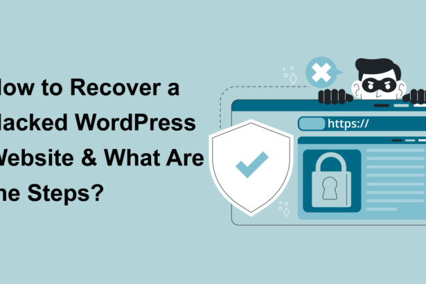 How to Recover a Hacked WordPress Website & What Are the Steps?